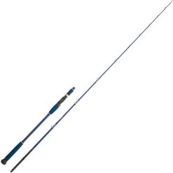 CANNE CASTING DAIWA LEGALIS OCEANO