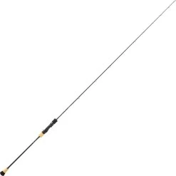 CANNE DAIWA SALTIGA SLOW JIGGING