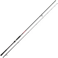 CANNE DAIWA SALTIST SEABASS