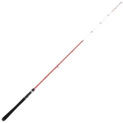 CANNE DAIWA SENSOR PALANGROTTE