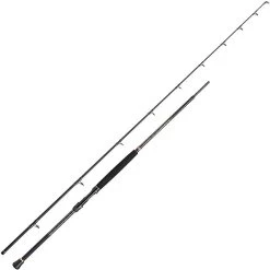 CANNE PENN REGIMENT III BOAT BRAID