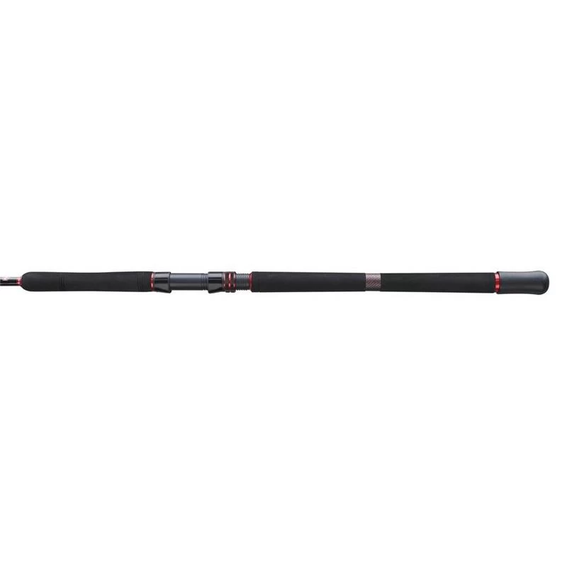 CANNE SPINNING PENN SQUADRON III JIG SPINNING ROD - Afbeelding 3