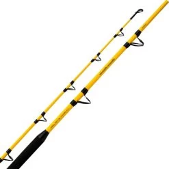 CANNE SPINNING SHIMANO BEASTMASTER CX BOAT