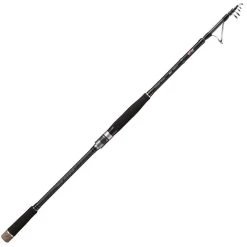 CANNE TÉLESCOPIQUE TRGR FOUR Z