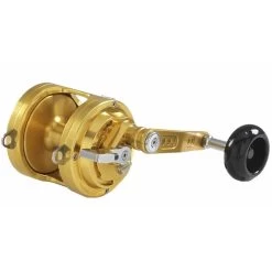 MOLEN ITALCANNA GLADIATOR CUB