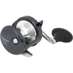 TROLLING MOLEN SHIMANO TORIUM