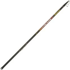 ZEEVIS HENGEL ITALCANNA STARBLAZER