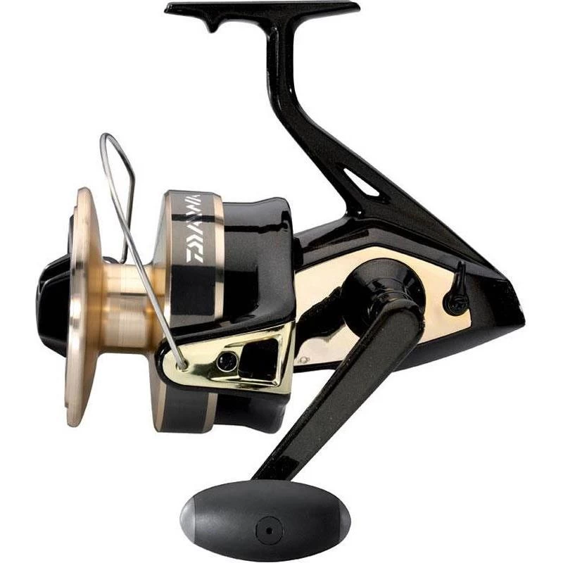 ZEEVIS MOLEN DAIWA GOLD SILVER B